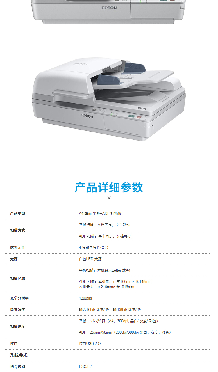 DS-6500 - 5.jpg